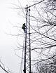 Hiline Abseilers cleaning an aerial mast