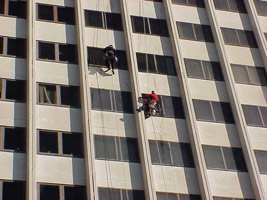 window cleaning abseilers